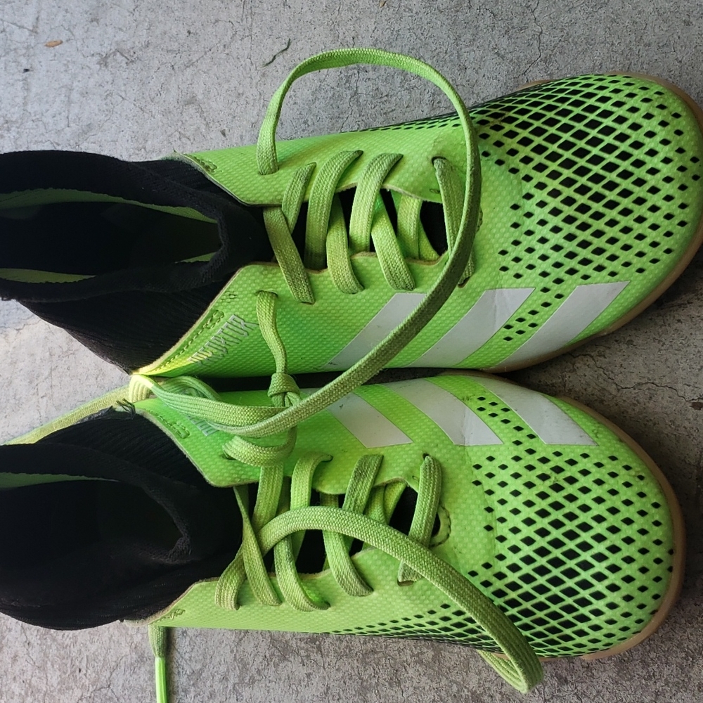 Adidas Predator 20.3 indoor soccer cleats